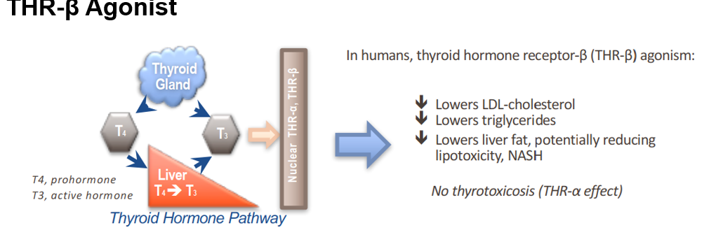 20230316/23f91a752256e29491585eee13b7642a.png 20230316/23f91a752256e29491585eee13b7642a.png